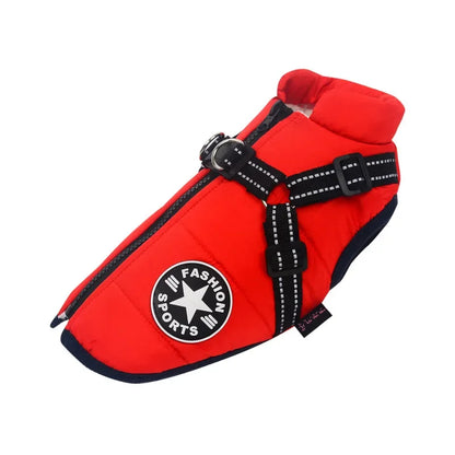 COLETE SPORTS