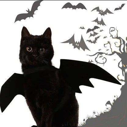 BATCAT