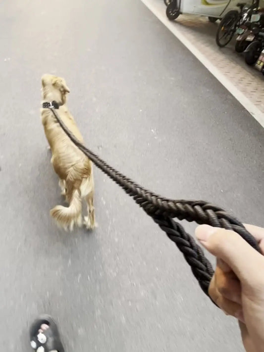 GUIA RESISTENTE PARA CÃES GRANDES