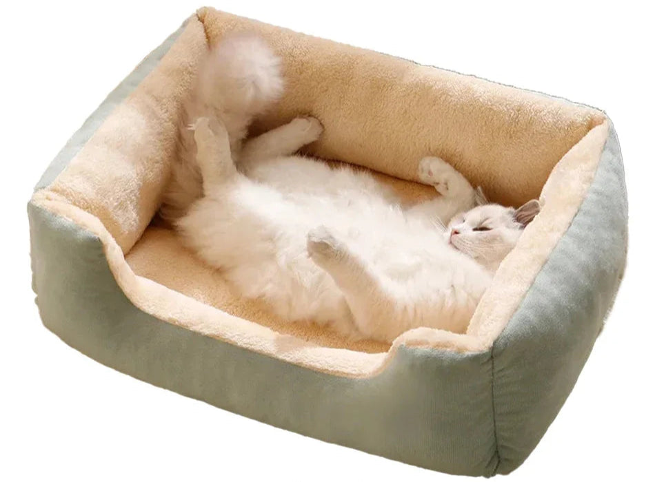 CAMA SUPER MACIA PET