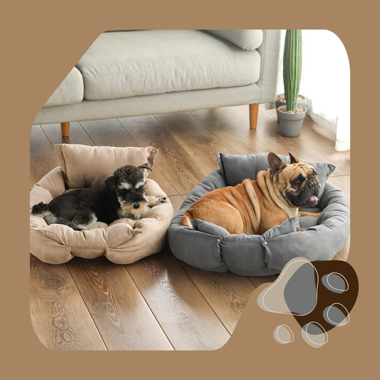 CAMA MULTIFUNCIONAL 3 EM 1