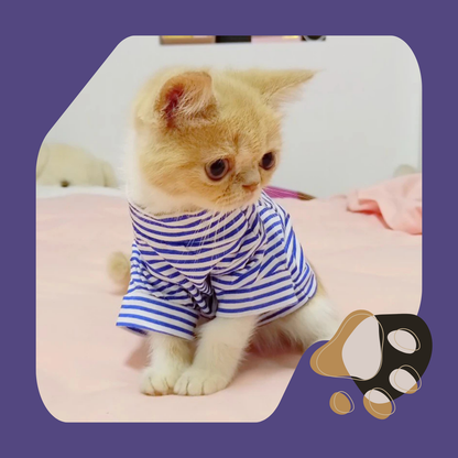 CAMISA DE ALGODÃO PARA GATOS