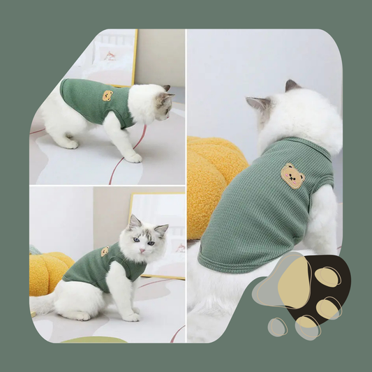 CAMISA DE URSO PARA GATOS