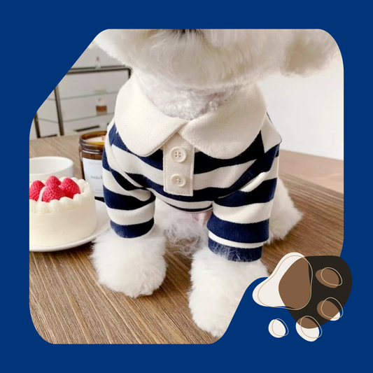 CAMISETA POLO VERÃO PET