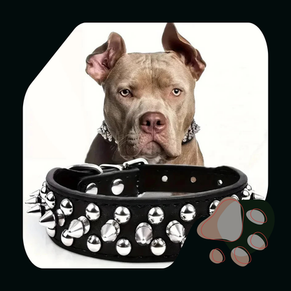COLEIRA AJUSTÁVEL COM PONTA PARA CÃES