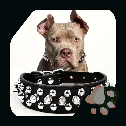 COLEIRA AJUSTÁVEL COM PONTA PARA CÃES