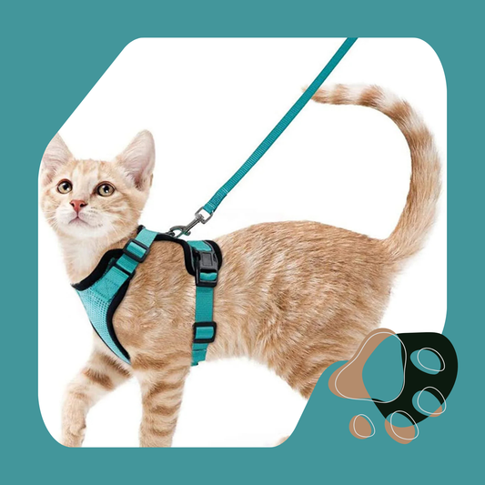 COLEIRA CAT HARNESS