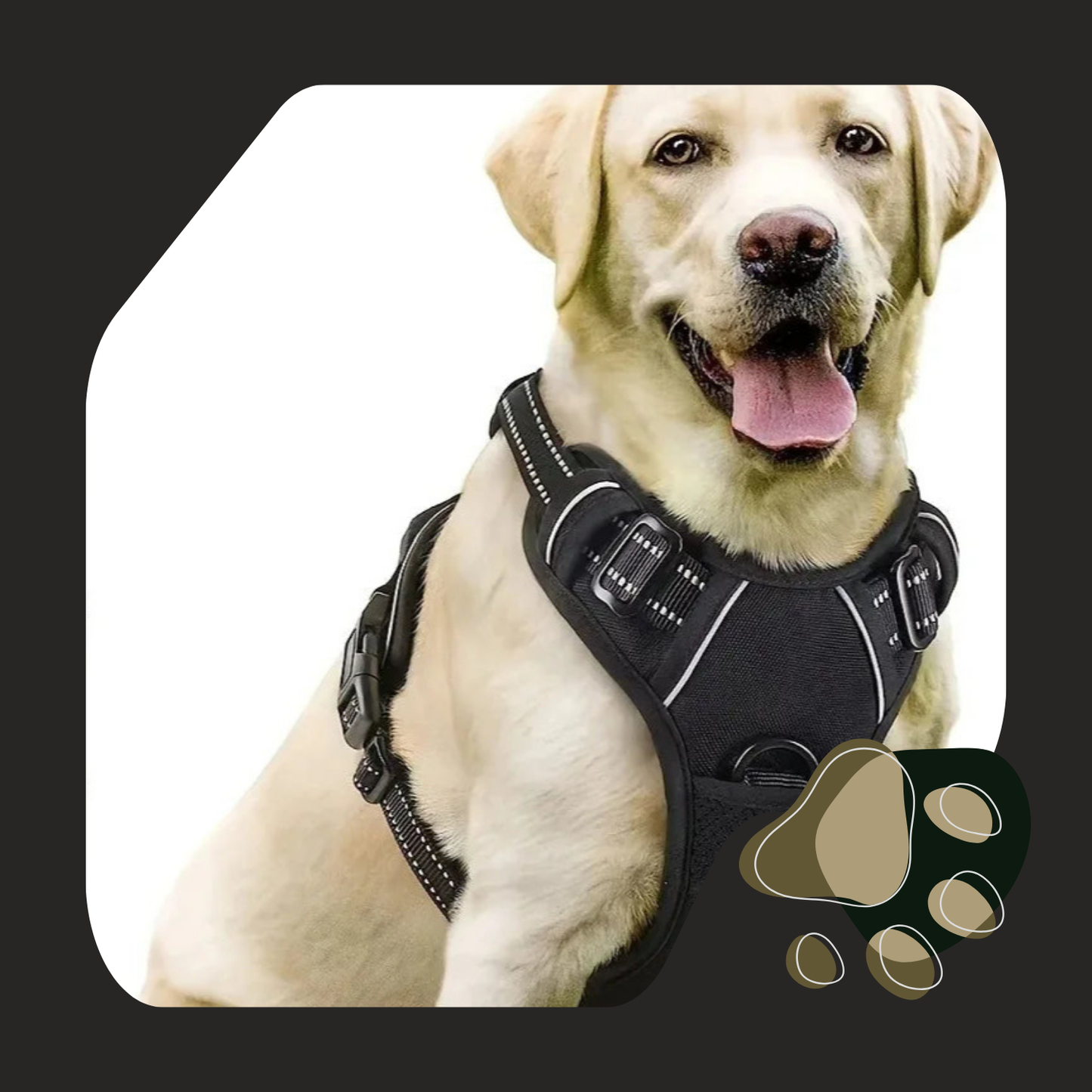 COLEIRA DOG BIG HARNESS