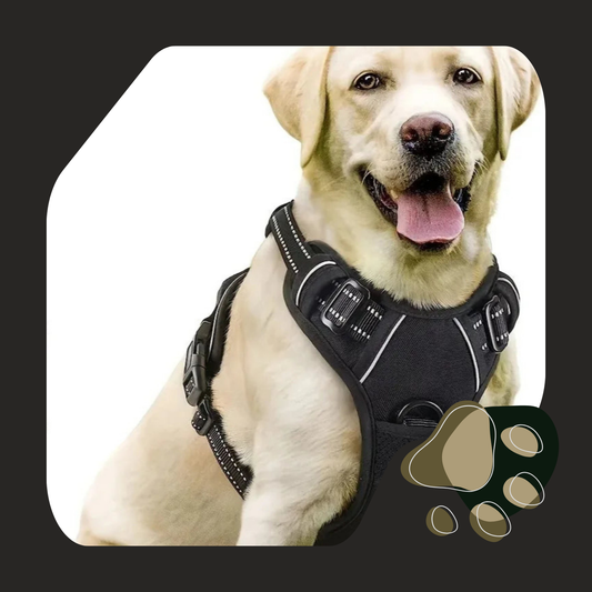 COLEIRA DOG BIG HARNESS