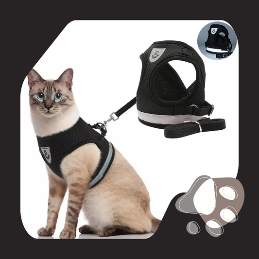 COLEIRA E COLETE PARA GATOS E CÃES