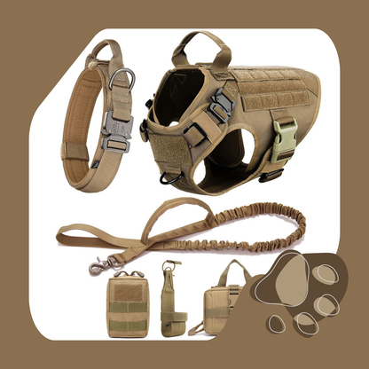 COLEIRA GRANDE PARA CÃES - CONJUNTO DE ARNÊS E COLEIRA