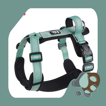 COLEIRA HARNESS FIBRA