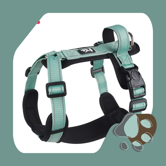 COLEIRA HARNESS FIBRA