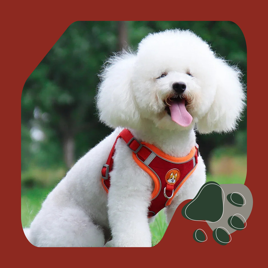 COLEIRA HARNESS PATRULHA