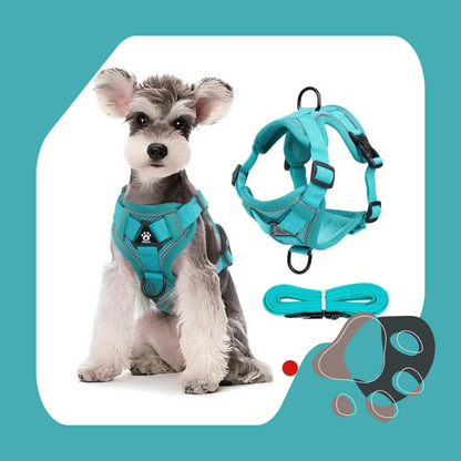 COLEIRA PEITORAL BUCKLE