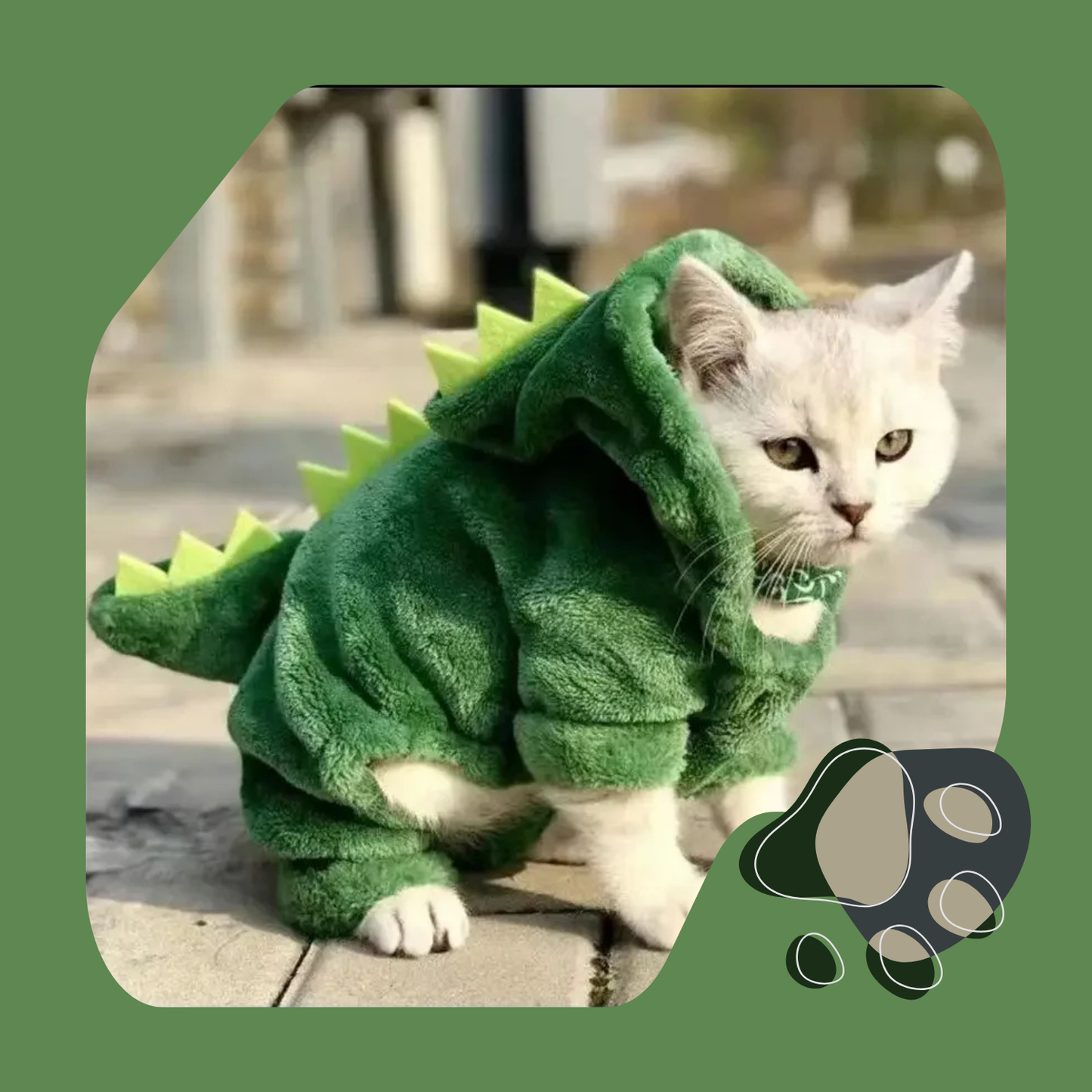 DINO CAT