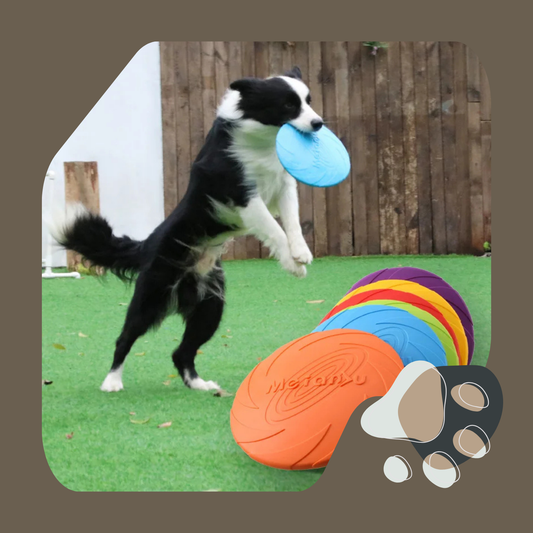 DISCO VOADOR OUZEY PARA CÃES