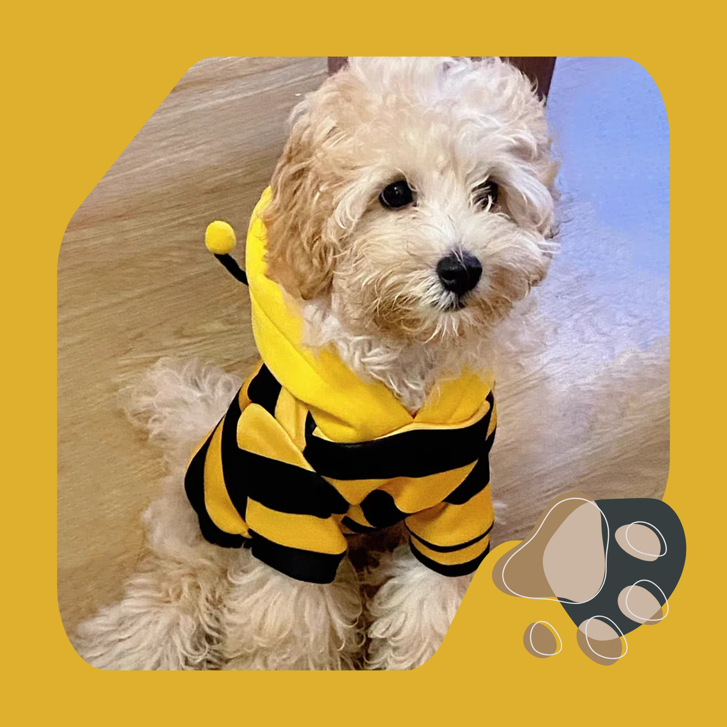 FANTASIA DE ABELHA PARA GATOS E CÃES PEQUENOS