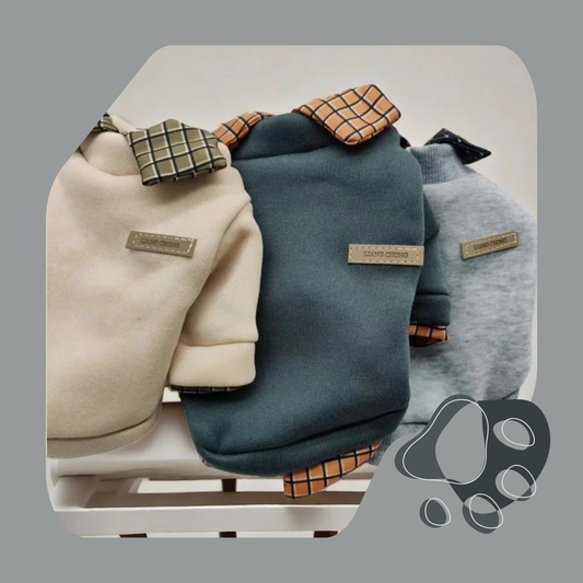 JAQUETA ESTILOSA PET