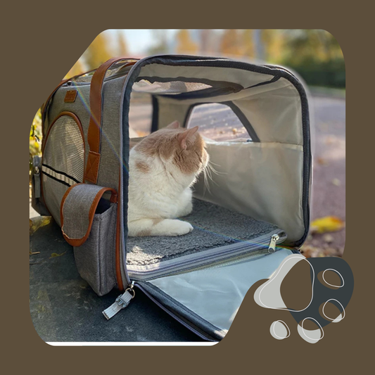 MOCHILA DE TRANSPORTE PET RESPIRÁVEL