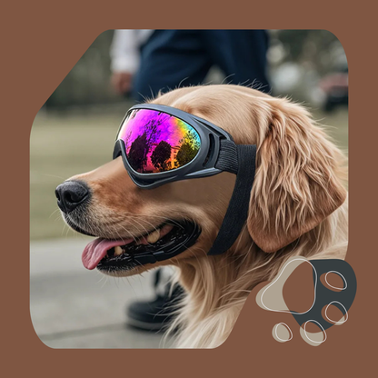 ÓCULOS DE SOL PARA CÃES