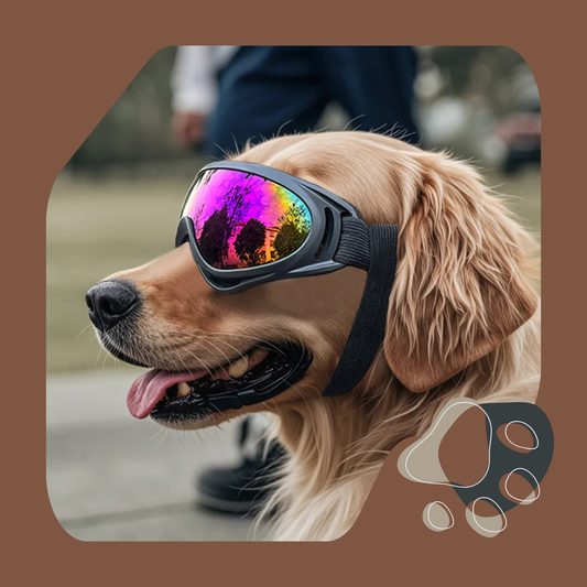 ÓCULOS DE SOL PARA CÃES