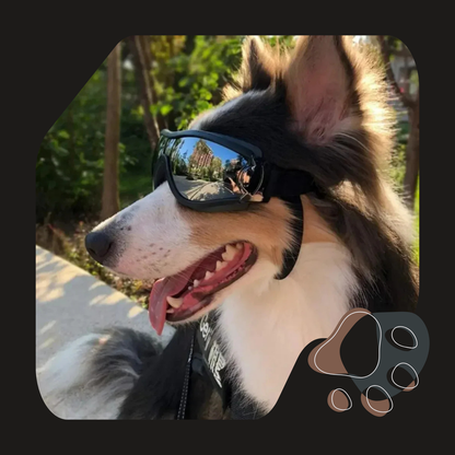 ÓCULOS DE SOL PARA CÃES GRANDES