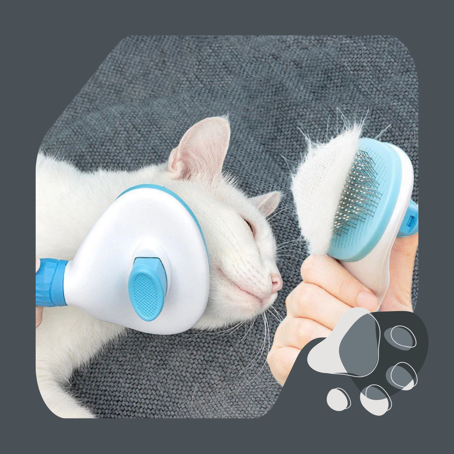 PENTE REMOVEDOR DE PELOS