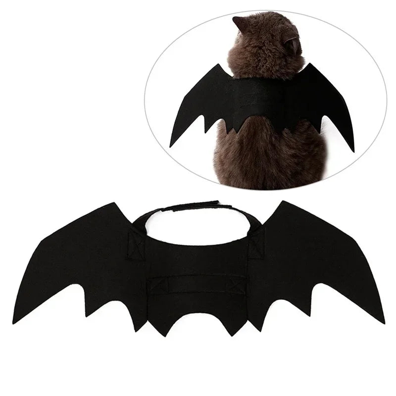 BATCAT