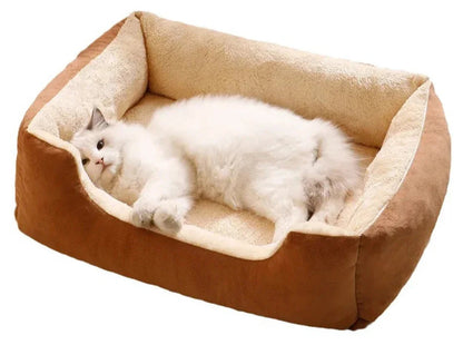 CAMA SUPER MACIA PET