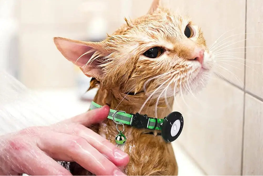 COLEIRA REFLEXIVA COM SINO E PINGENTE DE ENDEREÇO