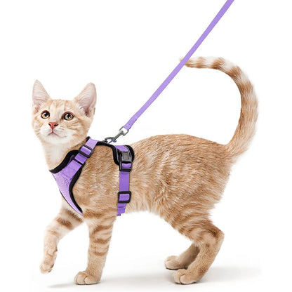 COLEIRA CAT HARNESS
