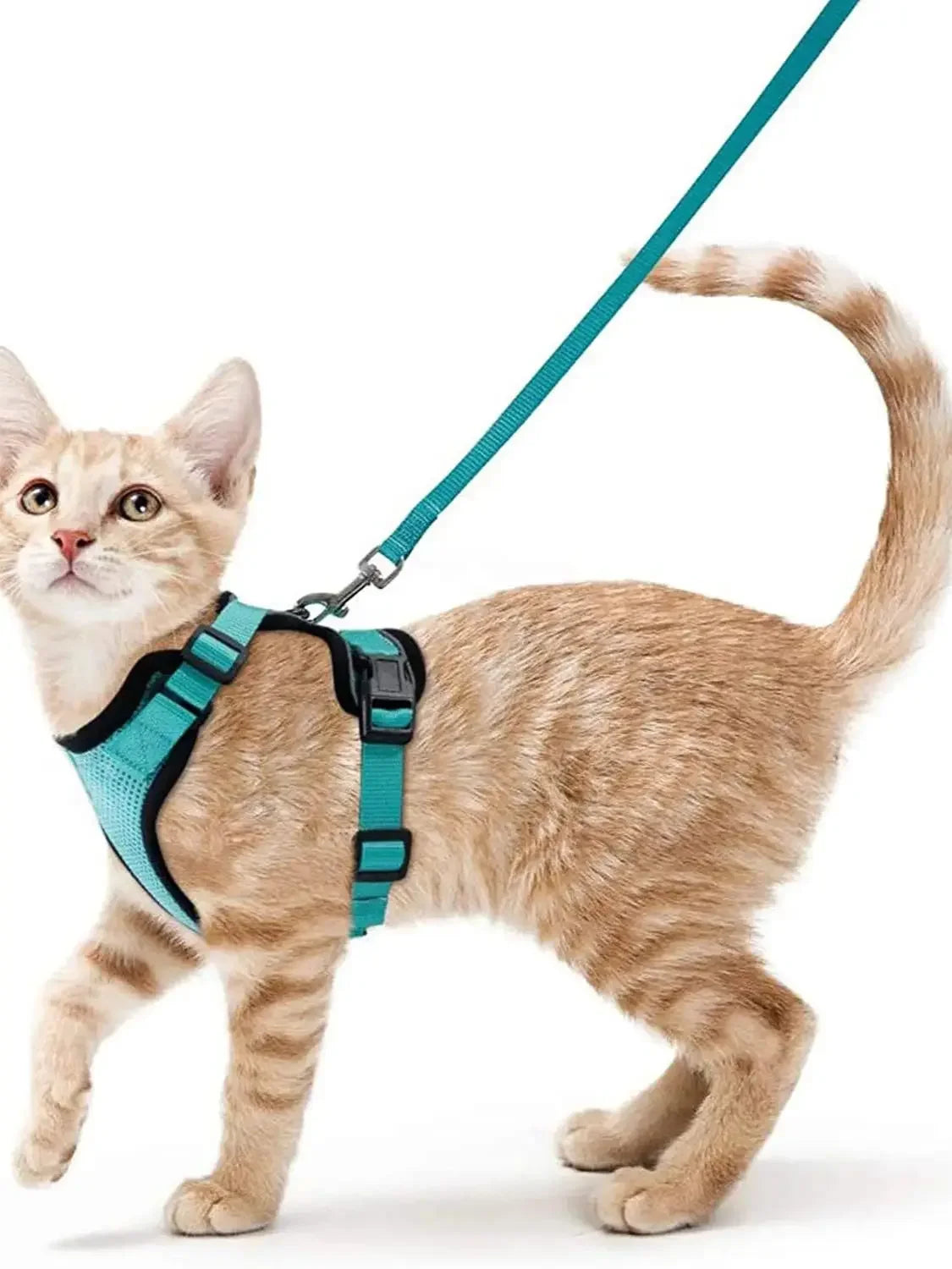 COLEIRA CAT HARNESS