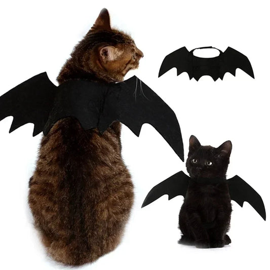 BATCAT