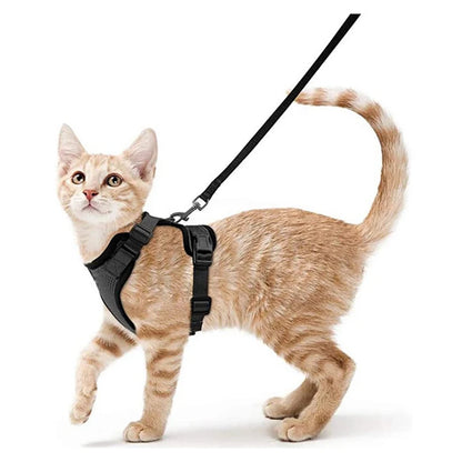 COLEIRA CAT HARNESS