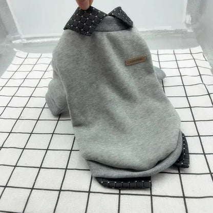 JAQUETA ESTILOSA PET