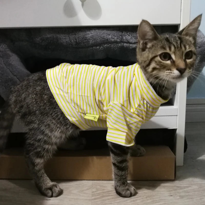 CAMISA DE ALGODÃO PARA GATOS
