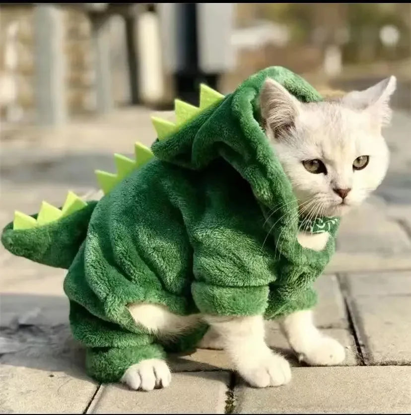 DINO CAT