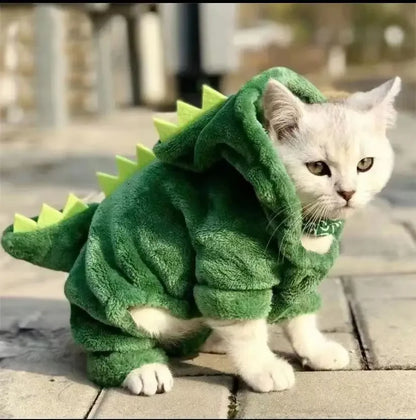 DINO CAT