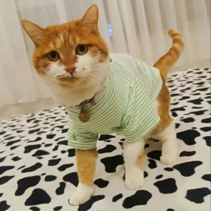 CAMISA DE ALGODÃO PARA GATOS