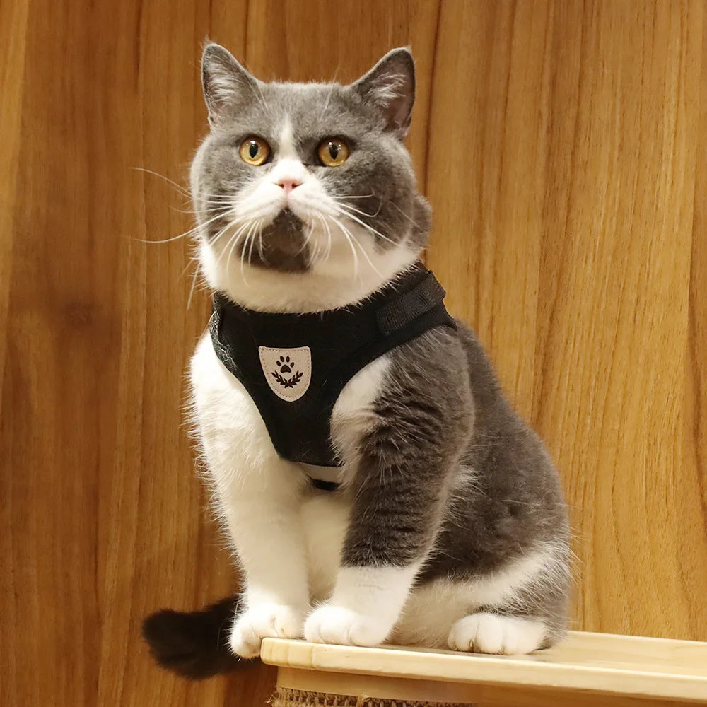 COLEIRA E COLETE PARA GATOS E CÃES