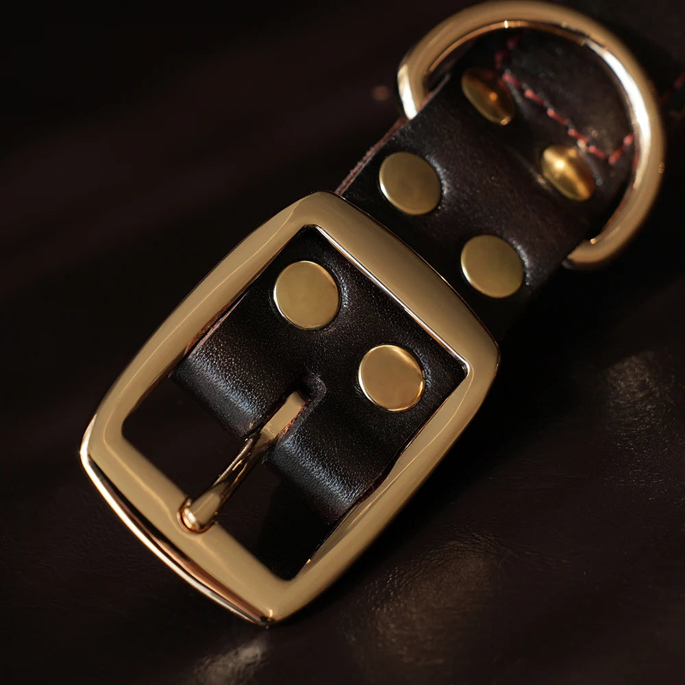 COLEIRA E GUIA DE COURO REAL