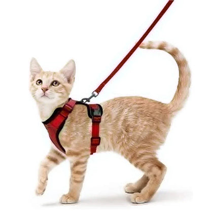 COLEIRA CAT HARNESS