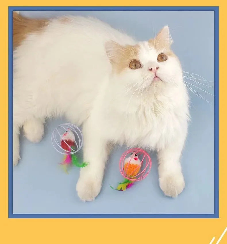 RATO NA BOLINHA PARA GATOS