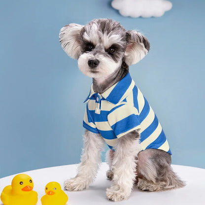 CAMISA POLO PET