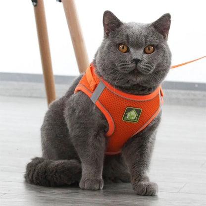 COLEIRA E COLETE PARA GATOS E CÃES