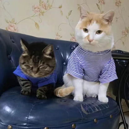 CAMISA DE ALGODÃO PARA GATOS